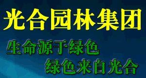 ψ@ּF