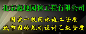 ε