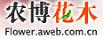 農(nóng)博花木網(wǎng)