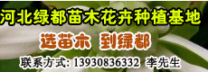 苗木資訊_花卉資訊_花木頻道