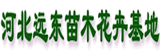 苗木資訊_花卉資訊_花木頻道