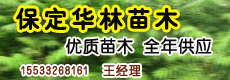 苗木資訊_花卉資訊_花木頻道