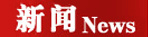 新聞頻道