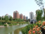 2008奧運精品工程之奧林匹克森林公園南園1號地一標段