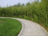 2008奧運精品工程之北京順義奧林匹克水上公園