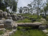 2008奧運精品工程之奧林匹克森林公園南區2號地五標段