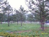 2008奧運優質工程之奧林匹克森林公園中心區