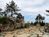 2008奧運精品工程之奧林匹克森林公園南區2號地六標段