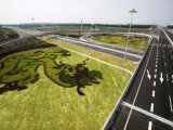 2008社會優質工程之機場南線高速公路綠化
