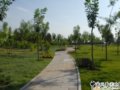 2008社會優質工程之潮河生態公園綠化工程