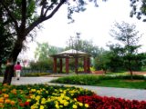 2008北京社會精品工程之松林里綠地綠化工程