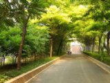 2008北京社會優質工程之朝陽區勁松街道