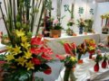 預(yù)演明年的花博會(huì) 鮮花扮靚順義農(nóng)博會(huì)(組圖)