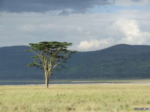 Nakuruo(h)^(q)