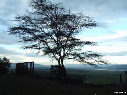 Nakuruo(h)^(q)