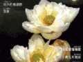 《園林》