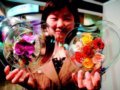 中國國際花卉園藝展在北京開幕
