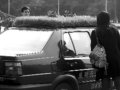 無土花草車頂栽種