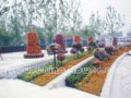 2007年奧運綠化成果展示會 決戰之年提前感受奧運賽時美景