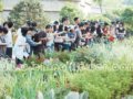 2008地被及水生植物應用發展研討會熱點頻現
