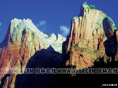 ZION{