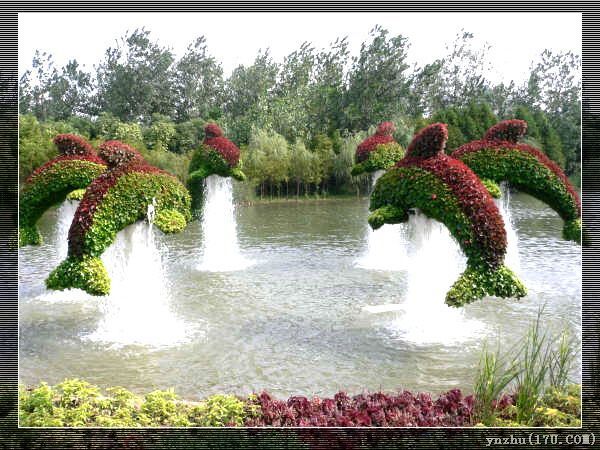 Wƥɭֹ@  @ˇg