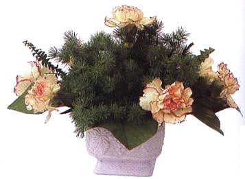 ڵײˮƽ8֧L(zhng)Ļȡһ֧Ĵֱ롣Ļ֦L(zhng)ȑ(yng)^ײL(zhng)Щ