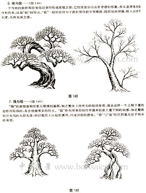 辰