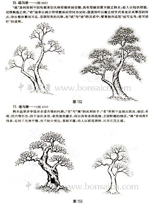 辰