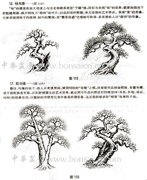 辰