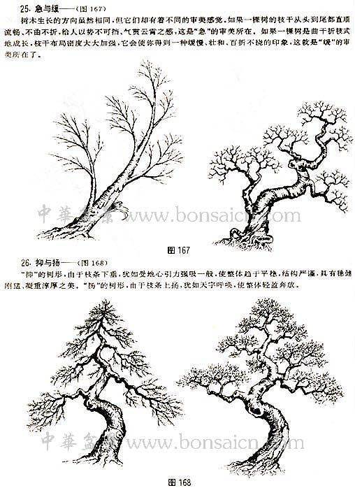 辰