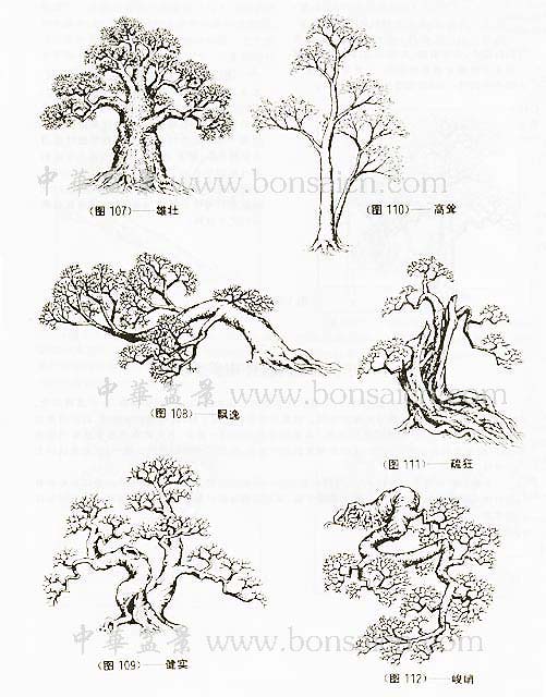 辰