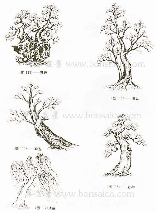 辰