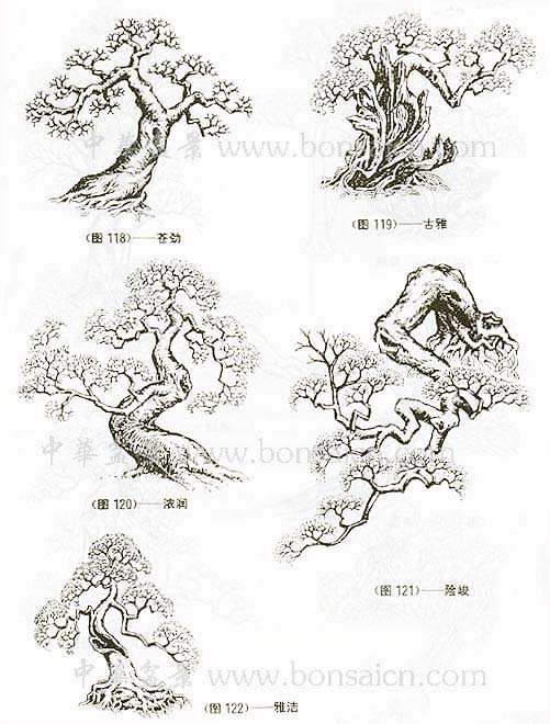 辰