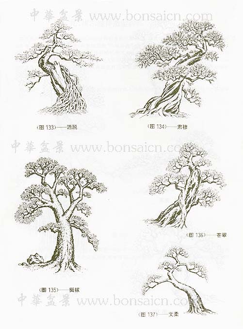 辰