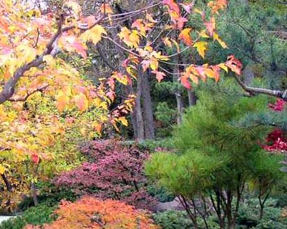 安德森日本公園