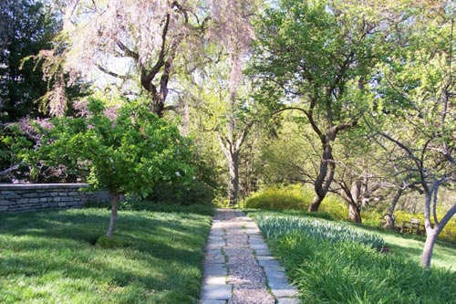 敦巴頓橡樹園