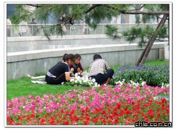 @ֹڸQݻ