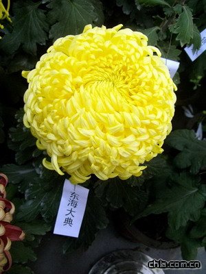 @ekڶʮŌþջչ