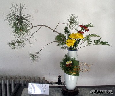 @ekڶʮŌþջչ