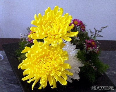 @ekڶʮŌþջչ