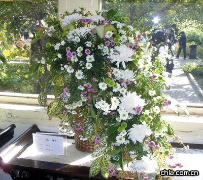 北海公園舉辦第二十九屆菊花展