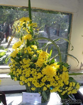 北海公園舉辦第二十九屆菊花展