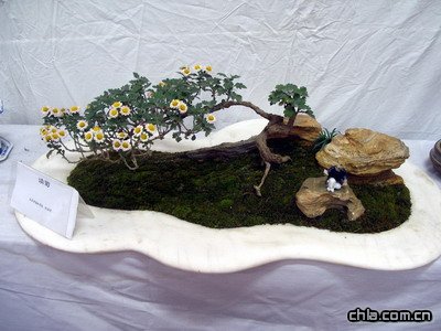 @ekڶʮŌþջչ