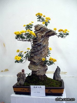 @ekڶʮŌþջչ