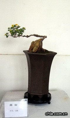 @ekڶʮŌþջչ