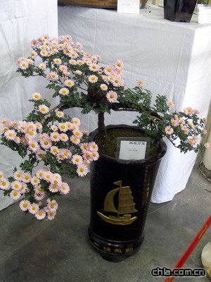 @ekڶʮŌþջչ