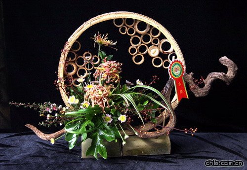 插花藝術欣賞之菊花篇(組圖)