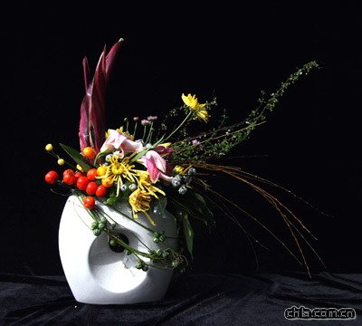 插花藝術欣賞之菊花篇(組圖)