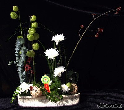 插花藝術欣賞之菊花篇(組圖)